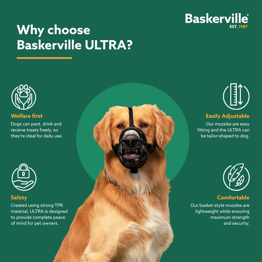 Baskerville Ultra side profile displaying muzzle shape and clearance