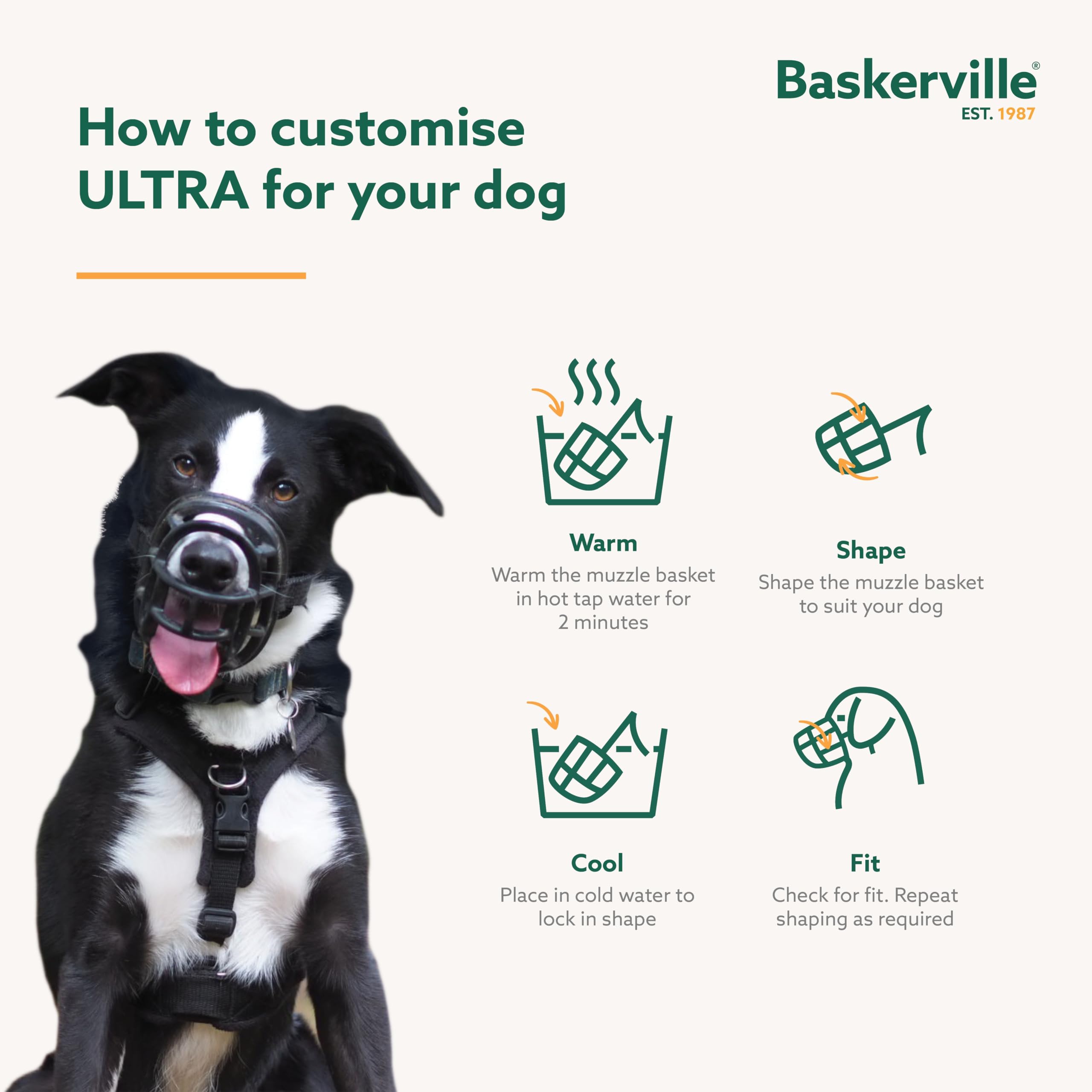 Baskerville Ultra Size 5 next to ruler showing scale and sizing