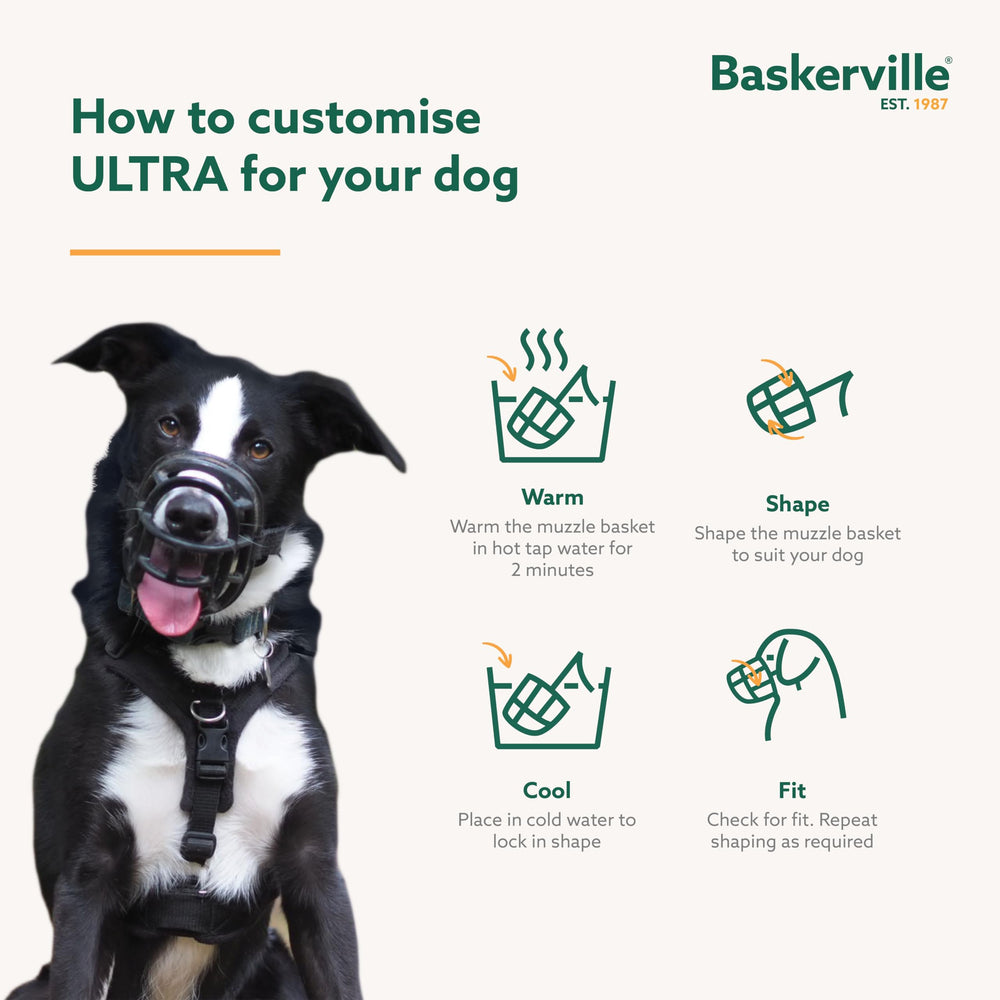 Baskerville Ultra Size 5 next to ruler showing scale and sizing