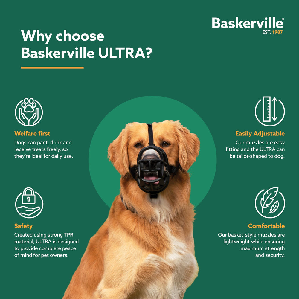 Baskerville ULTRA padded straps and lockable neck clip demonstrating secure fit