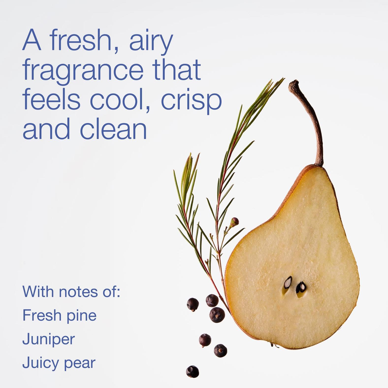 Bath & Body Works foam texture from Crisp Morning Air showing creamy lather