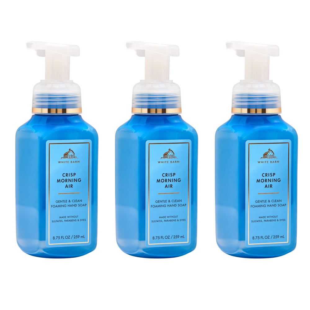 Bath & Body Works front packaging of Crisp Morning Air three-pack showing value
