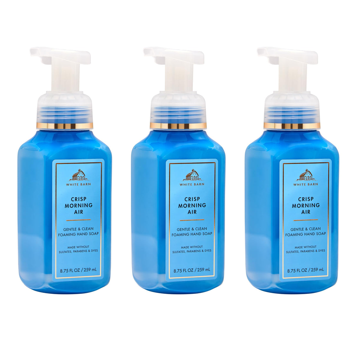 Bath & Body Works front packaging of Crisp Morning Air three-pack showing value