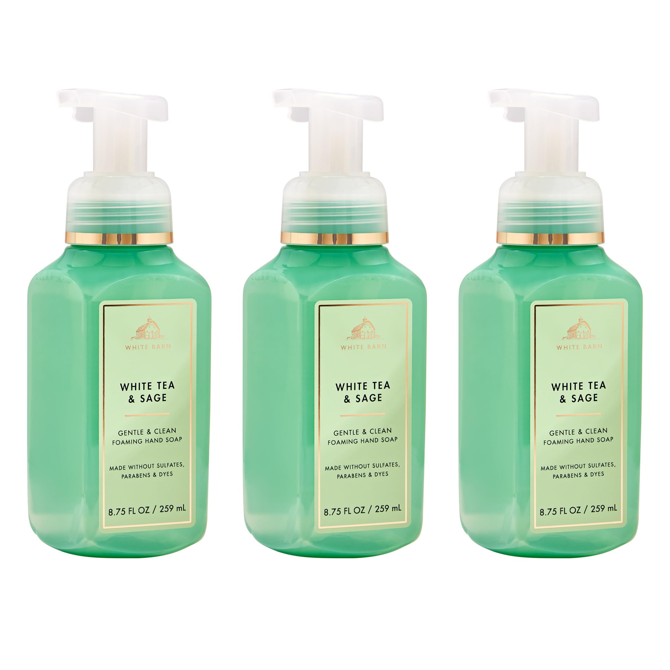 Bath & Body Works front packaging showing three bottles and fresh scent benefit