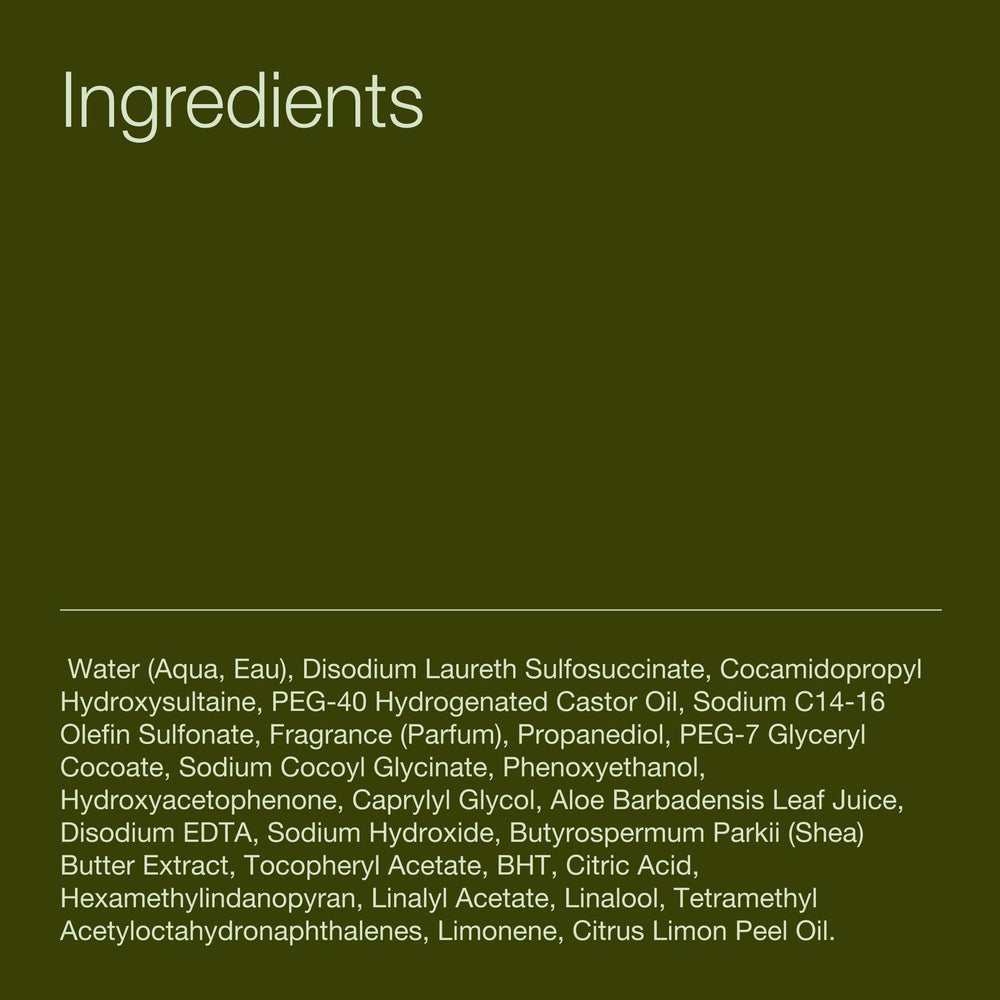 Bath & Body Works three-pack arranged to show value and consistent refills