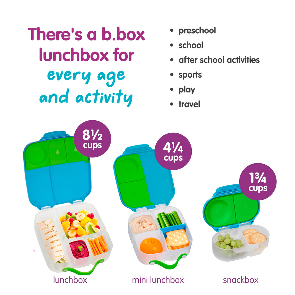 b.box snack box on a picnic blanket by playground to highlight outdoor, on-the-go use