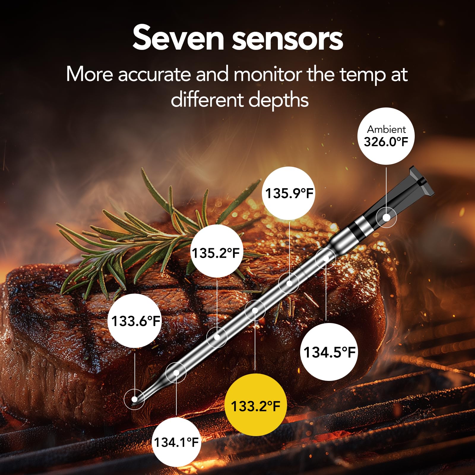 BBQOVN ambient probe in smoker showing environment monitoring benefits