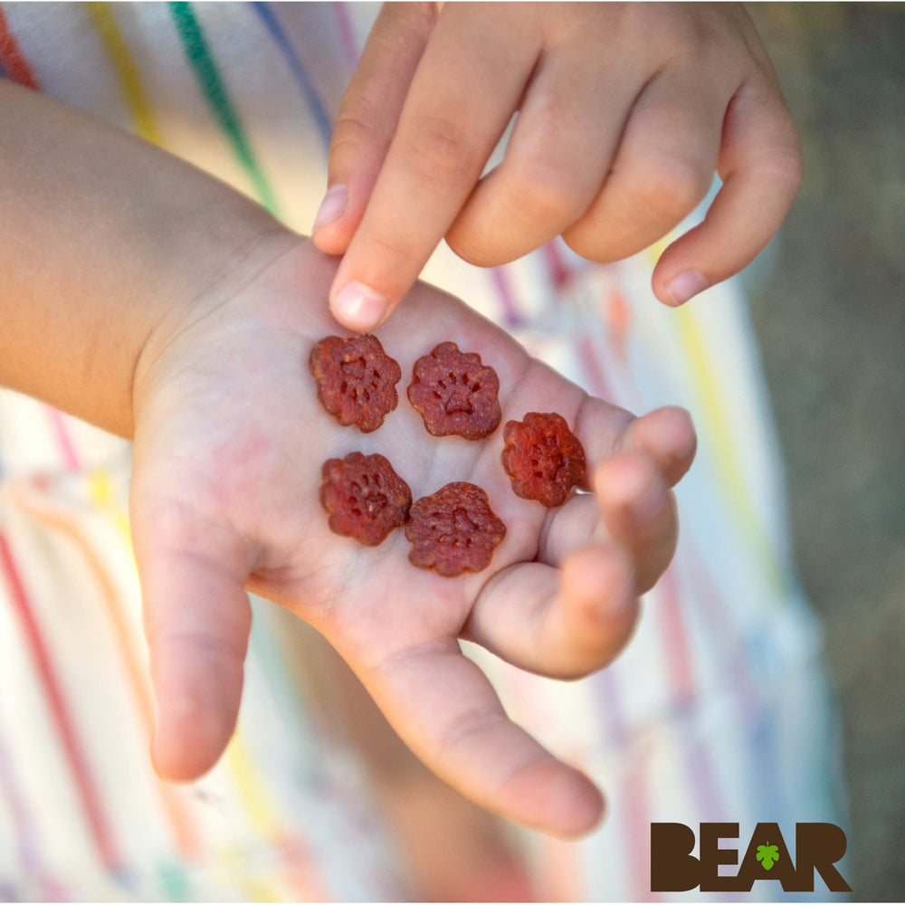 BEAR close-up of strawberry minis texture showing baked fruit purée and chewiness benefit
