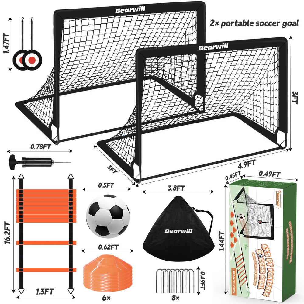 Bearwill training kit laid out showing ball pump ladder cones