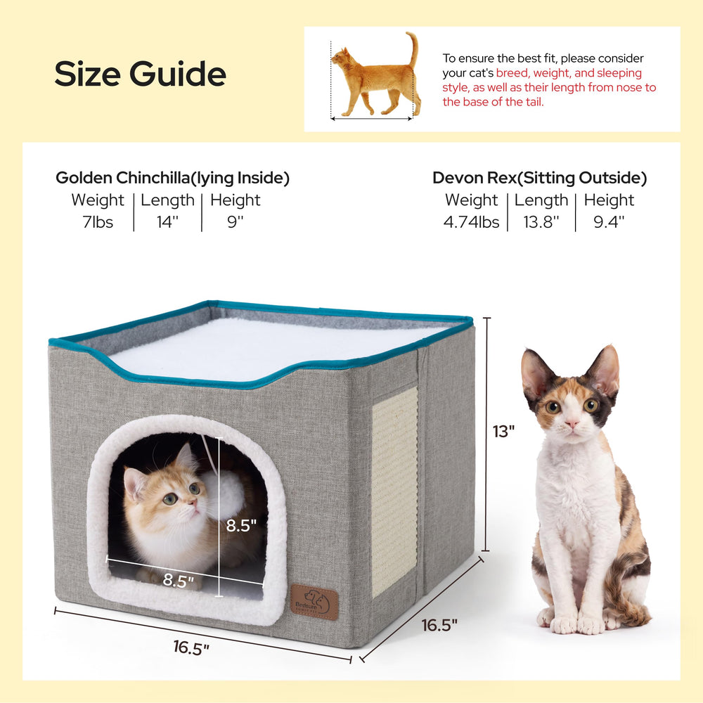 Bedsure cat on condo showing size and sturdy support for cats under 20 pounds