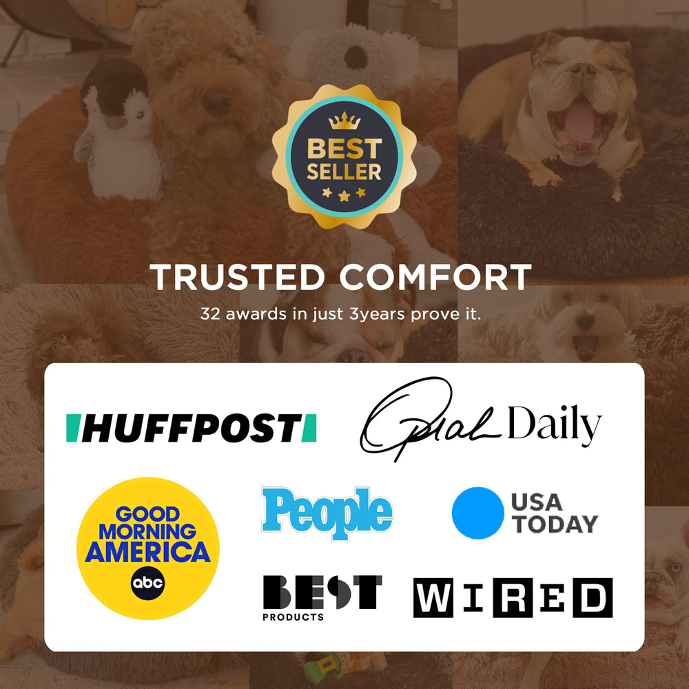 Bedsure small dog curled up in bed demonstrating calming, secure fit