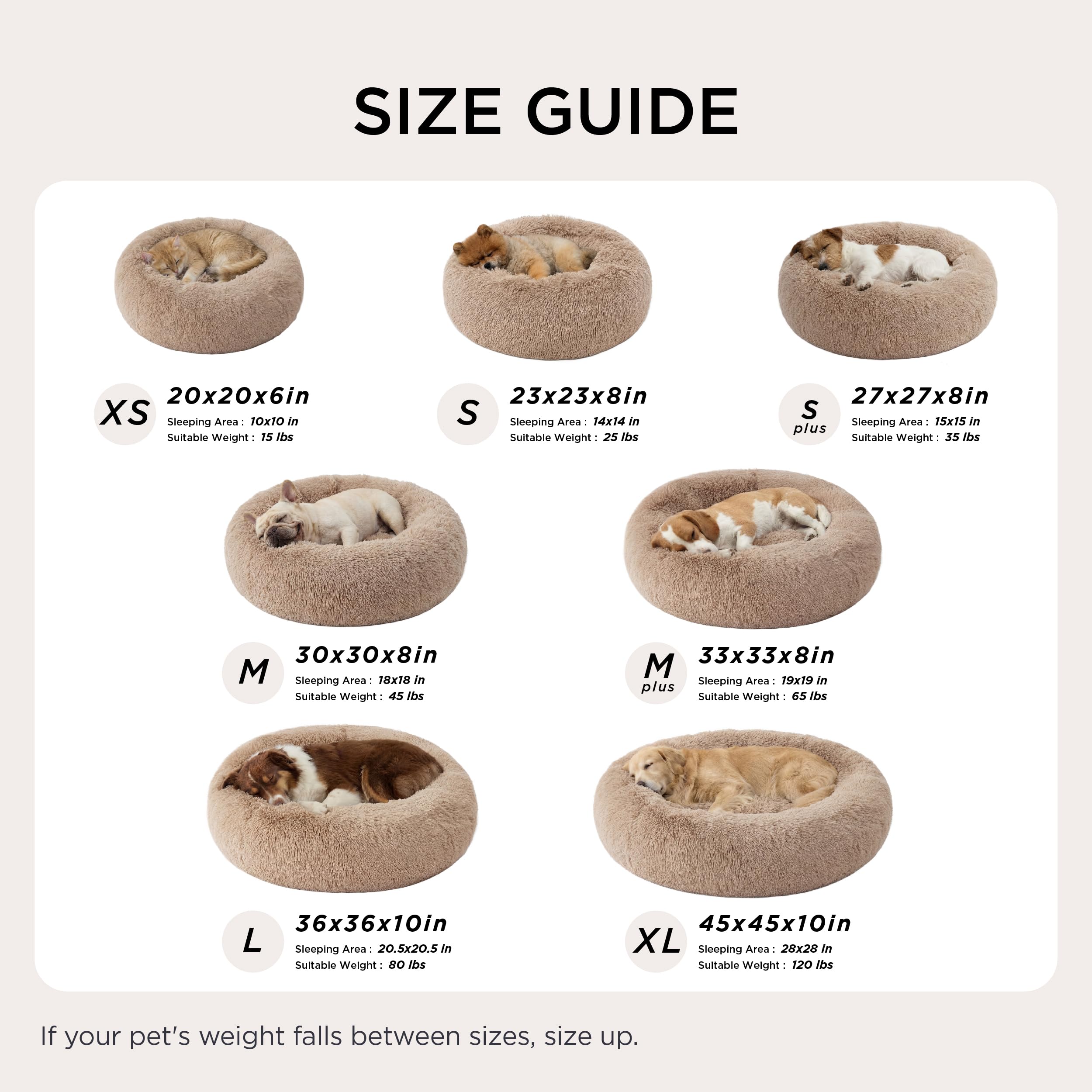 Bedsure 23-inch bed beside common objects to show true size and scale