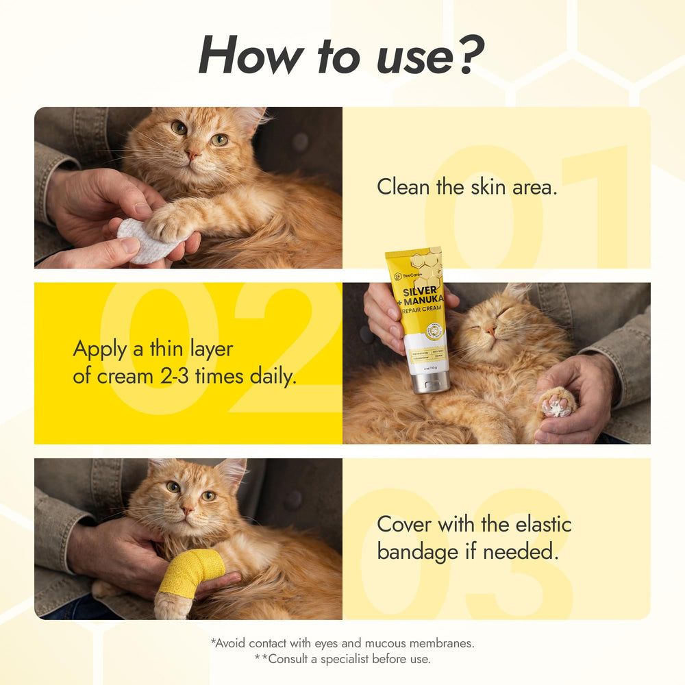 BeeCare+ applied to a dog paw to soothe hot spot and protect skin