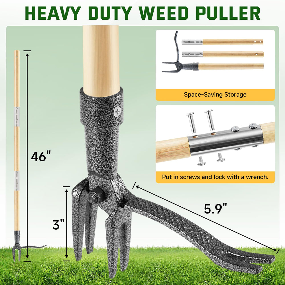 BellaJoyz close-up of 4-claw steel head demonstrating root grip