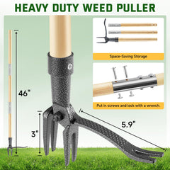 BellaJoyz close-up of 4-claw steel head demonstrating root grip