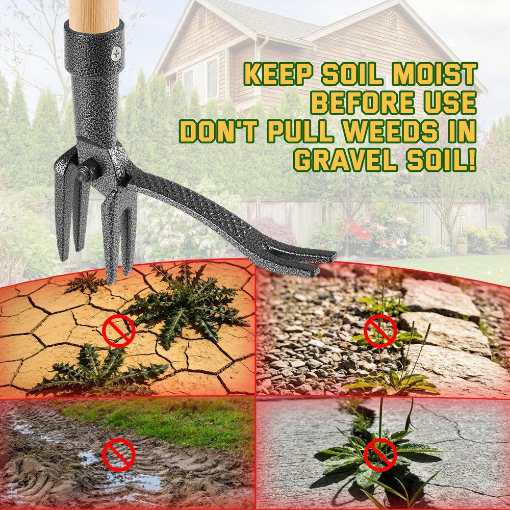 BellaJoyz removed weed with intact roots showing thorough extraction