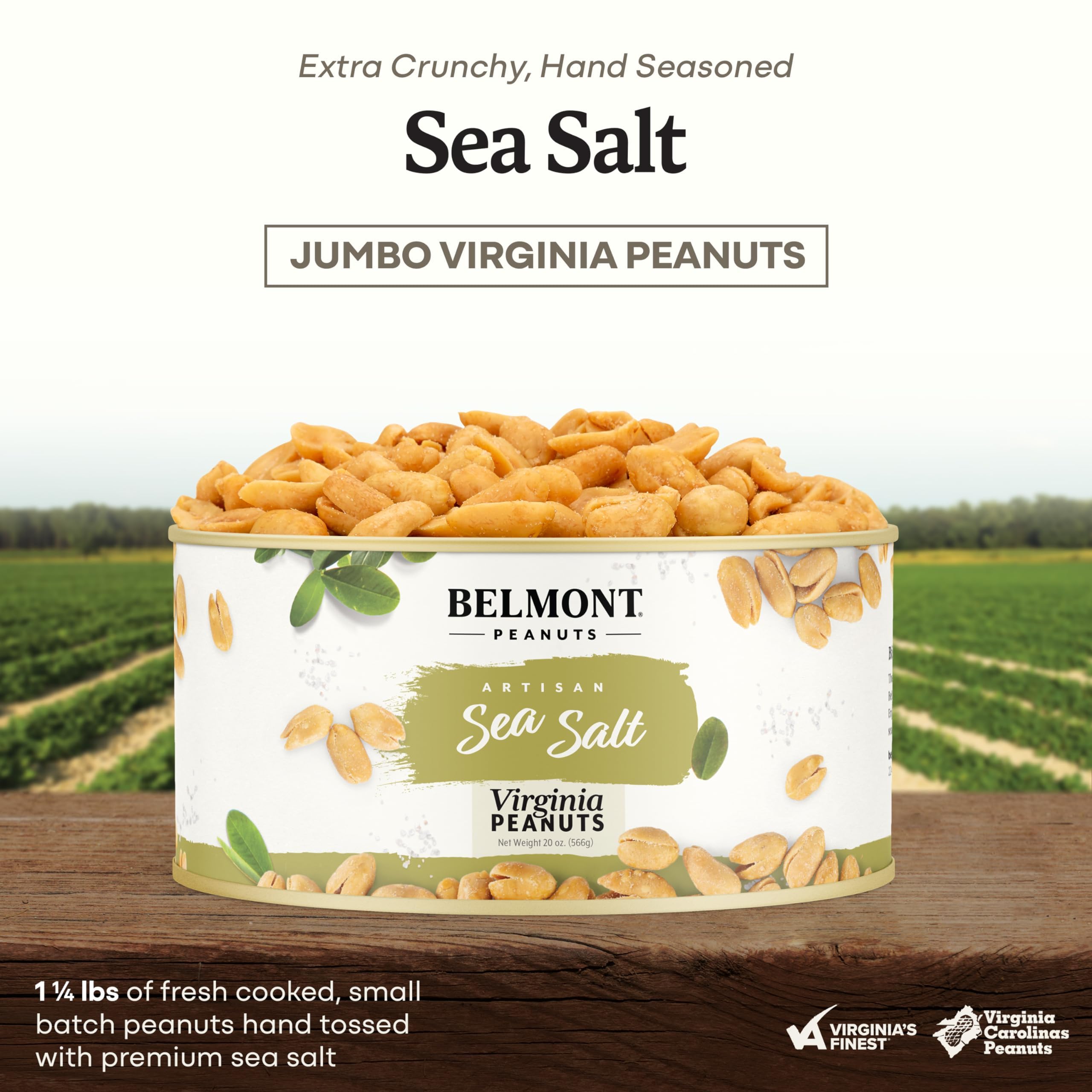 Belmont Peanuts close-up of roasted kernels showing sea-salt crystals and crisp texture