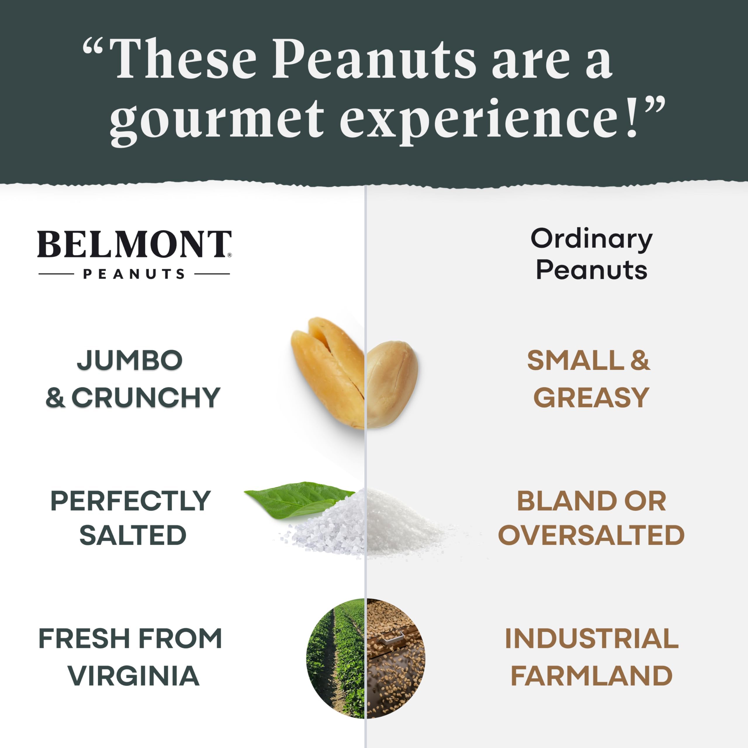 Belmont Peanuts texture detail showing large Virginia peanuts and even roasting for crunch