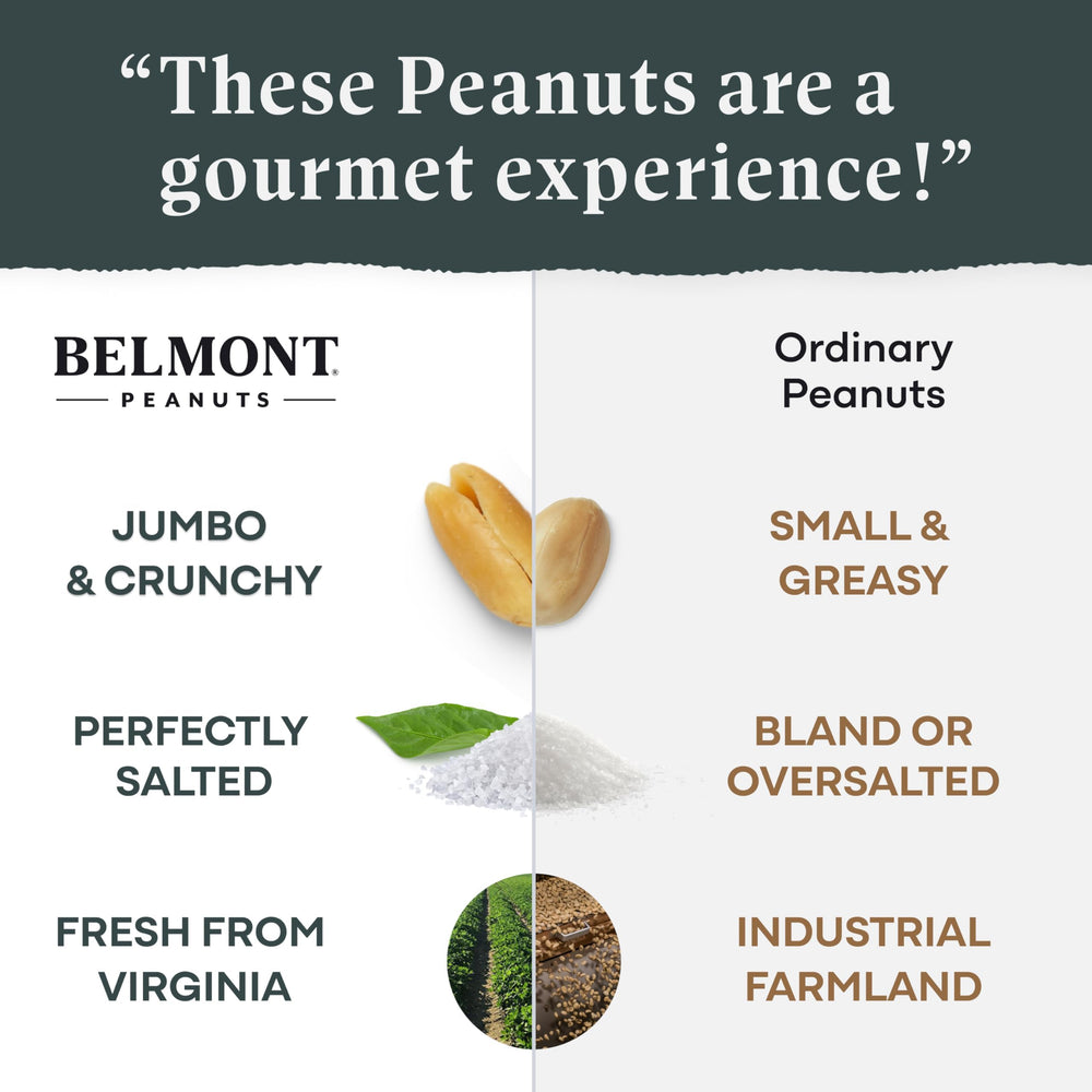 Belmont Peanuts texture detail showing large Virginia peanuts and even roasting for crunch