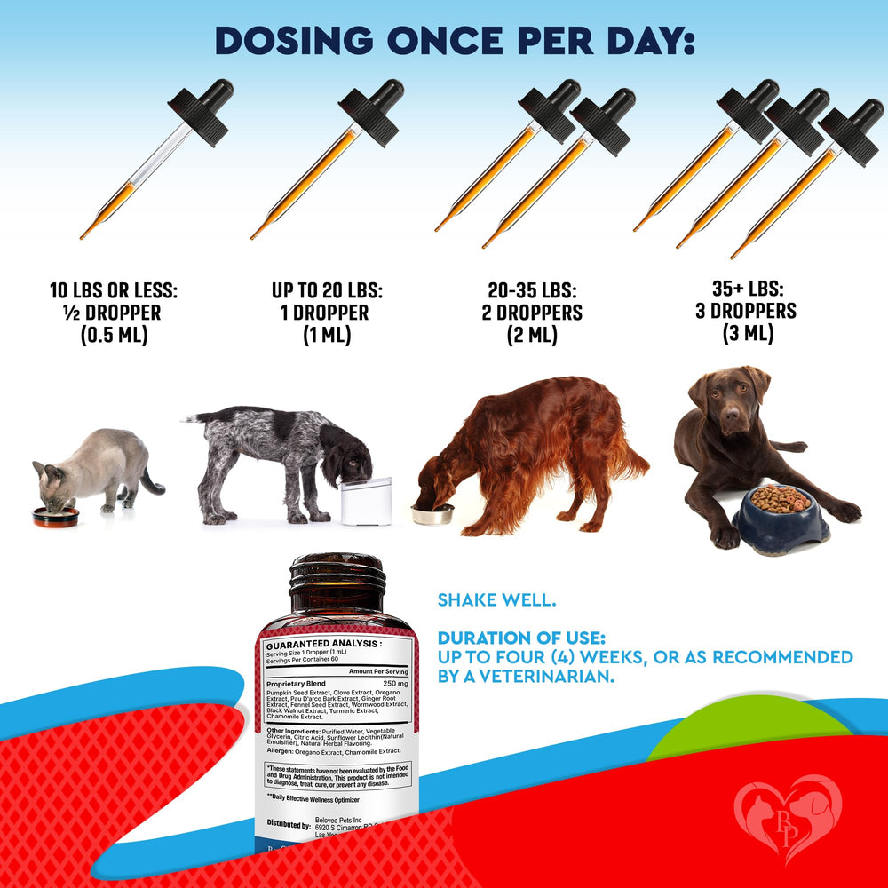 Beloved Pets mixed into cat food illustrating discreet daily dosing