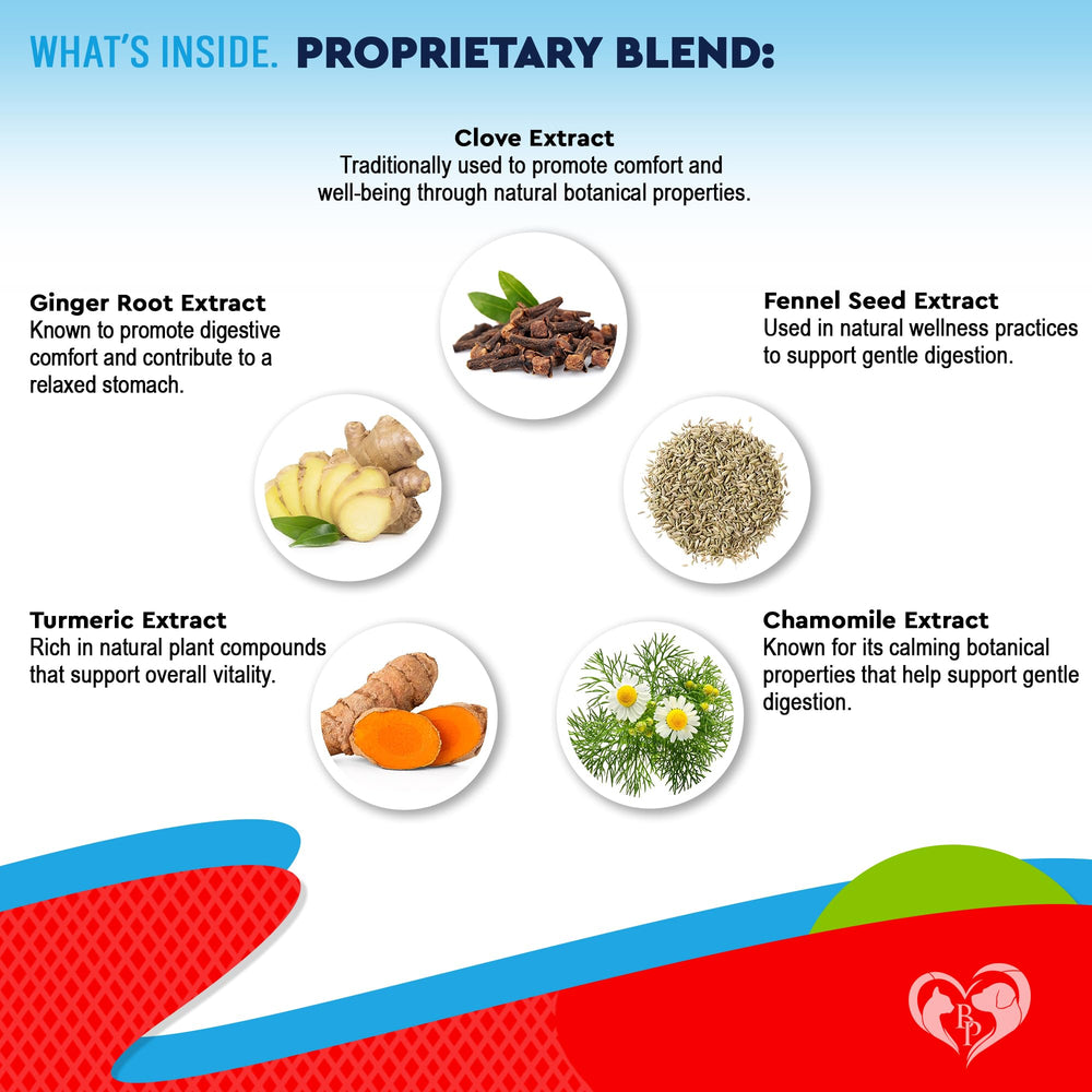 Beloved Pets liquid drops texture close-up showing easy-to-administer formula