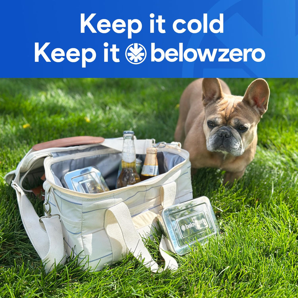 Below Zero on a tailgate cooler demonstrating long-lasting chill for outdoor events