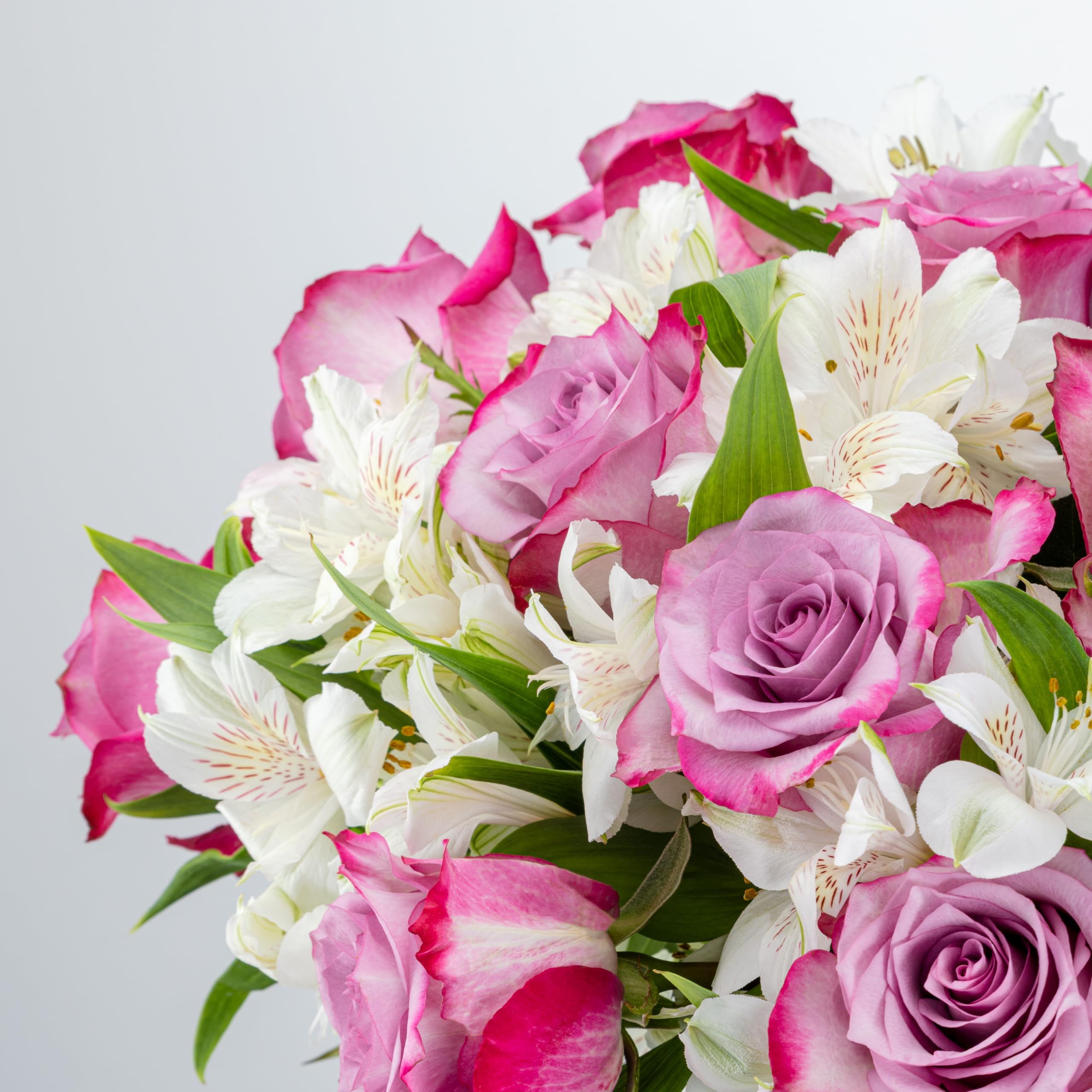 Benchmark Bouquets close-up lavender rose bud highlighting petal texture and visual impact