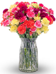 Benchmark Bouquets front view of pink purple yellow mini carnations, vibrant gift-ready display
