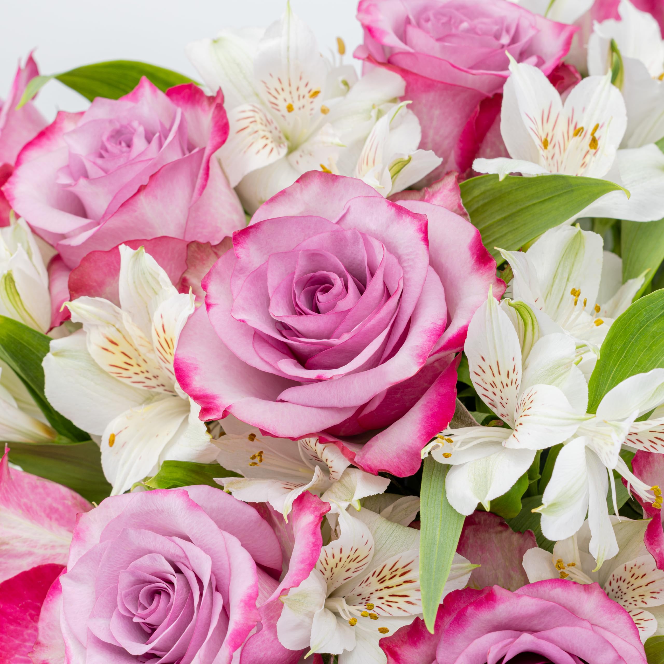 Benchmark Bouquets bouquet in included glass vase ready to display and brighten room