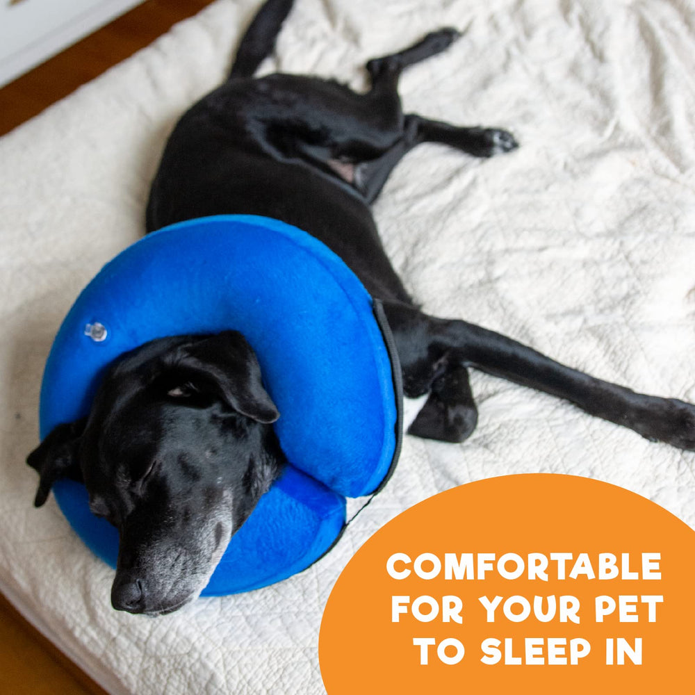 BENCMATE on large-breed dog in home showing comfort and mobility
