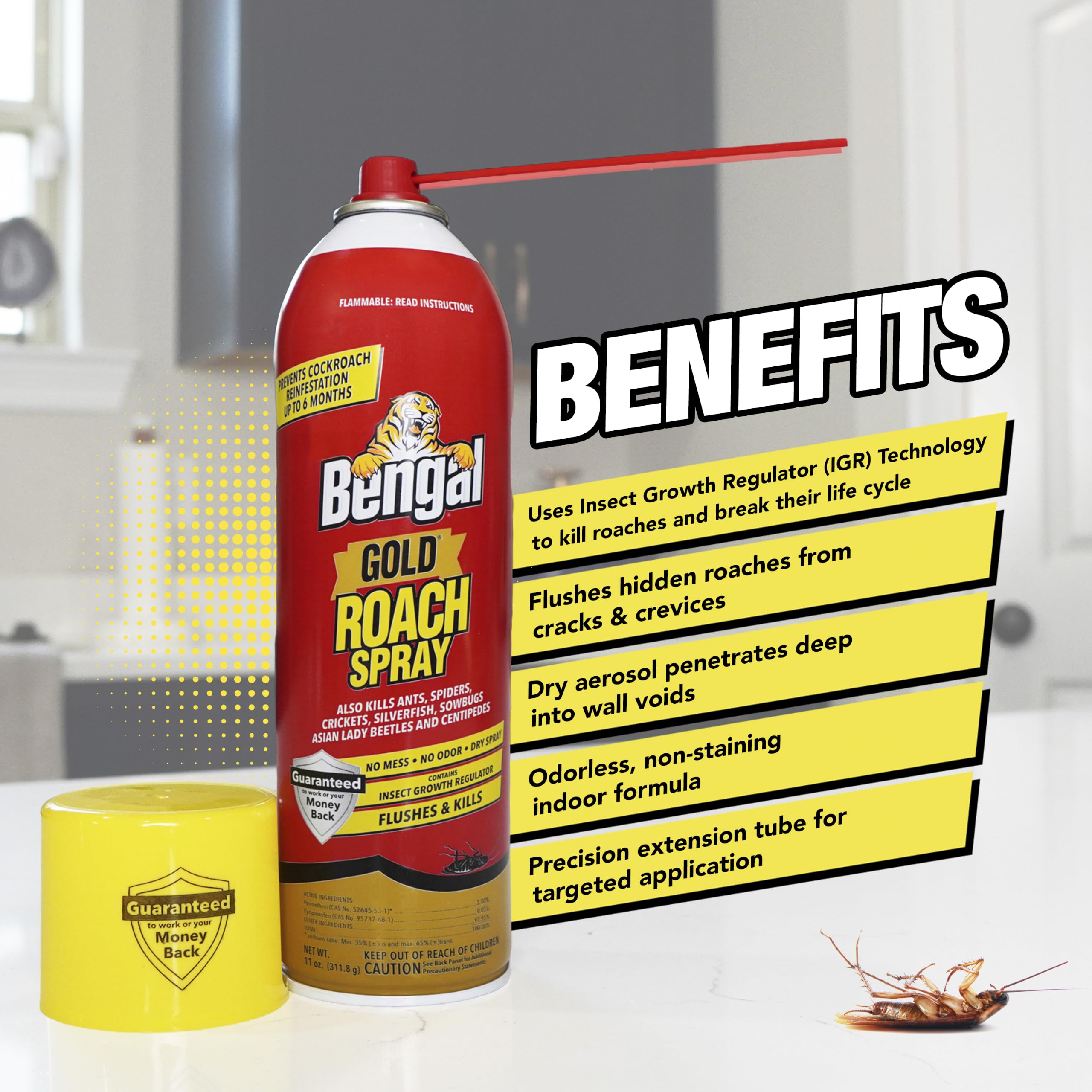 Bengal extension tube detail highlighting precise application for targeted treatment