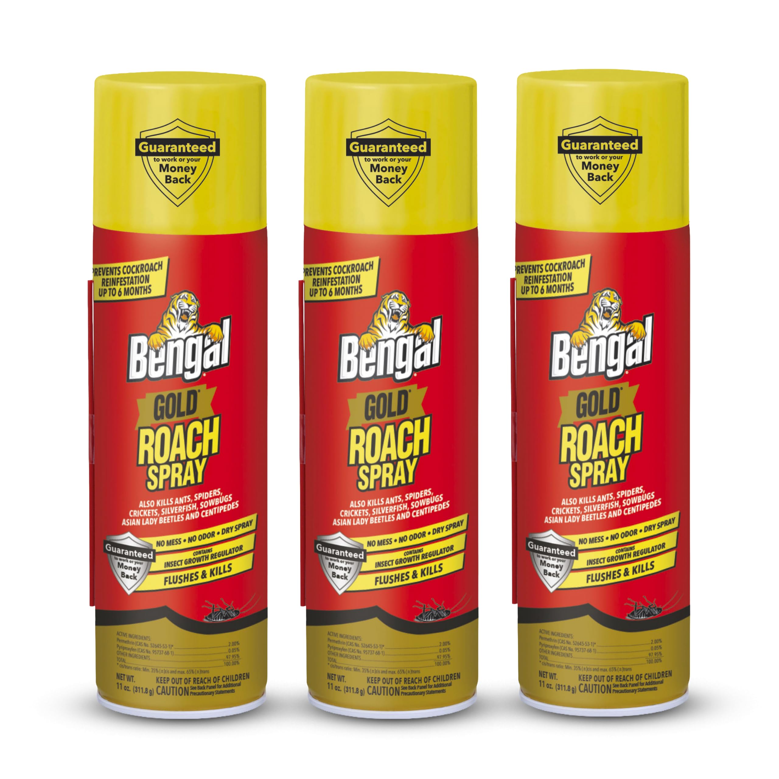 Bengal front packaging showing three 11 oz cans and product branding benefit quick identification