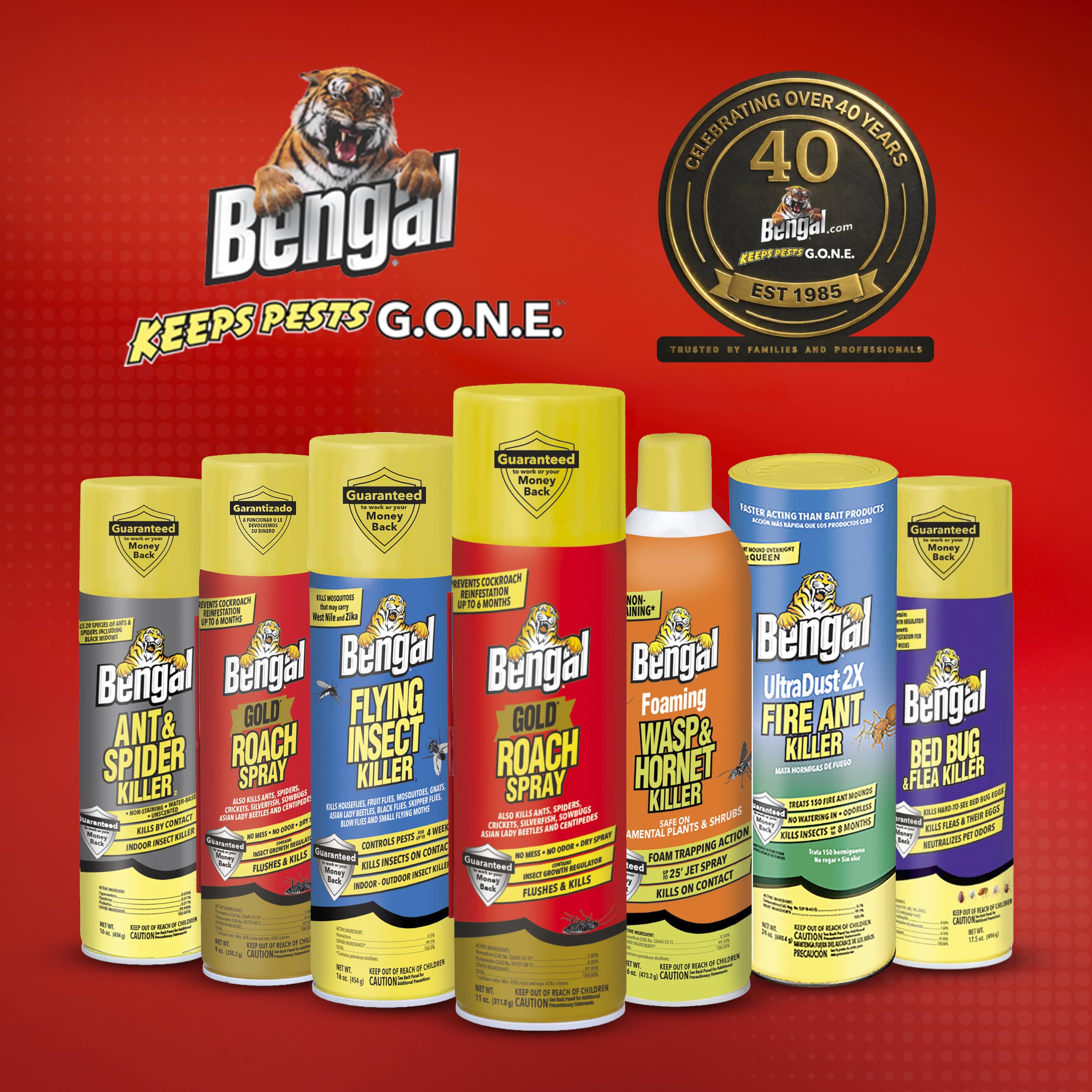 Bengal used in a kitchen setting demonstrating safe indoor use benefit