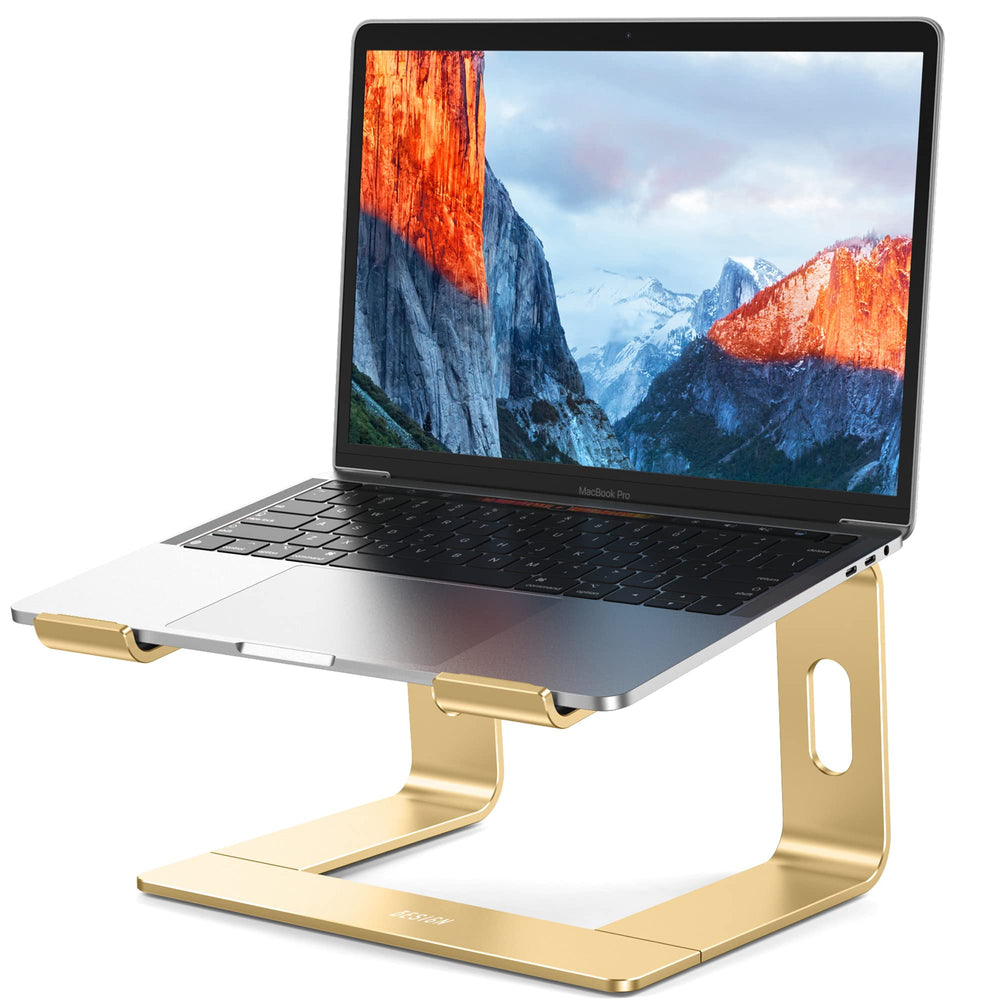 BESIGN LS03 front view showing gold finish and ergonomic lift benefit