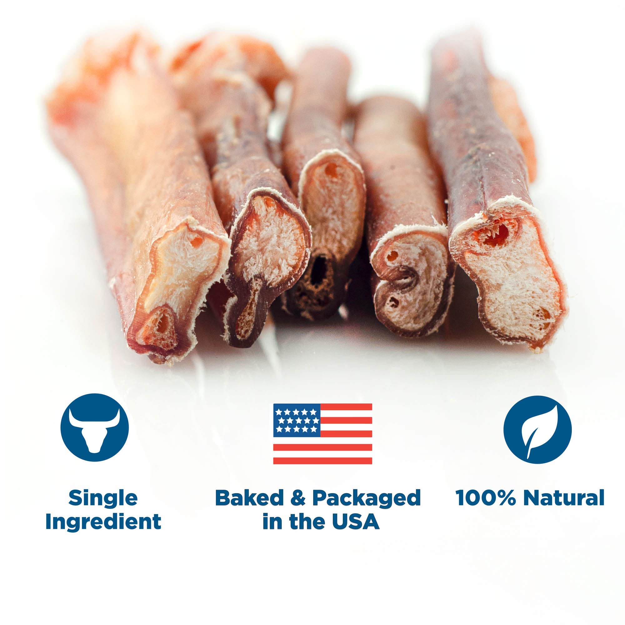 Best Bully Sticks held by dog demonstrating safe chewing and engagement