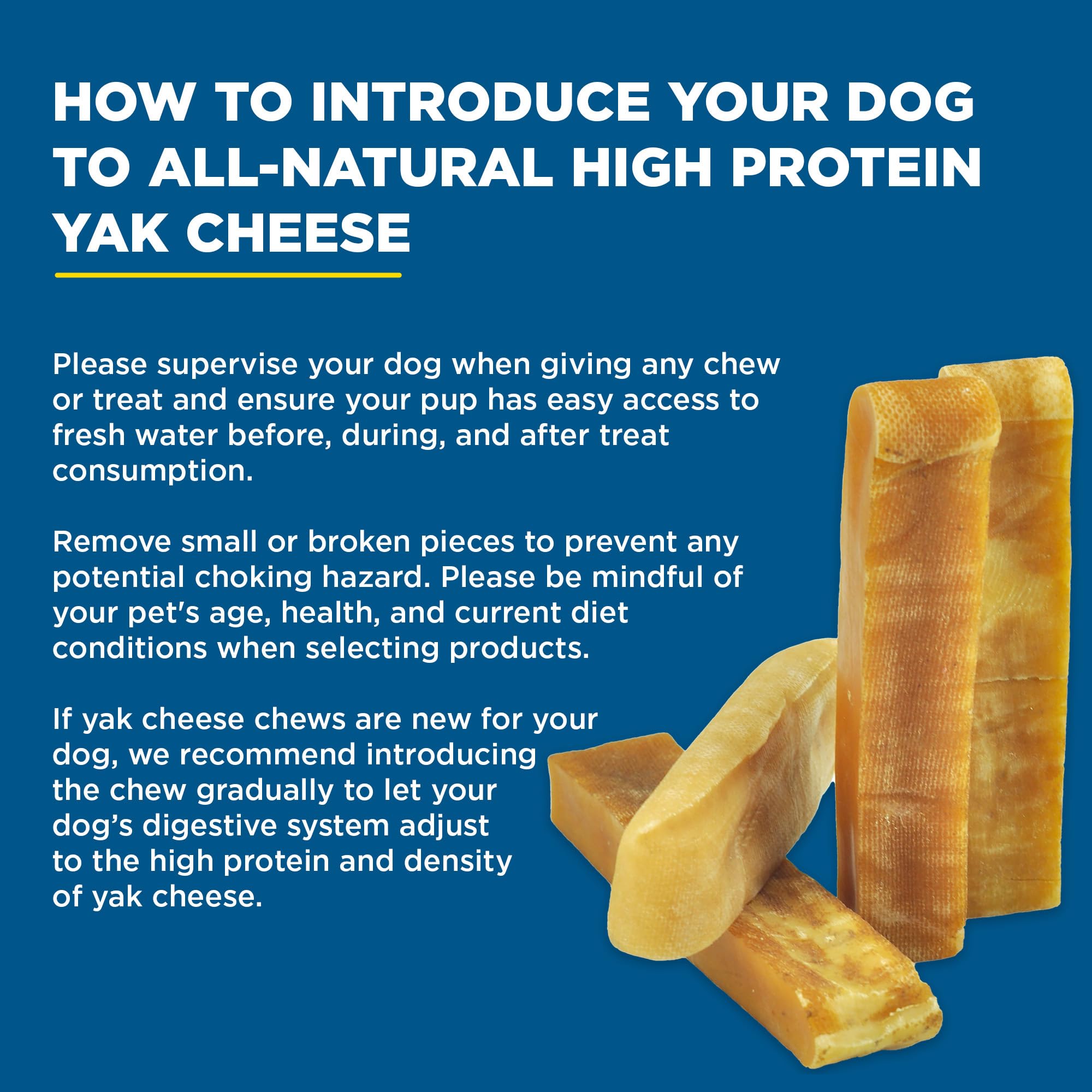 Best Bully Sticks large dog outdoors with chew demonstrating active enrichment benefit