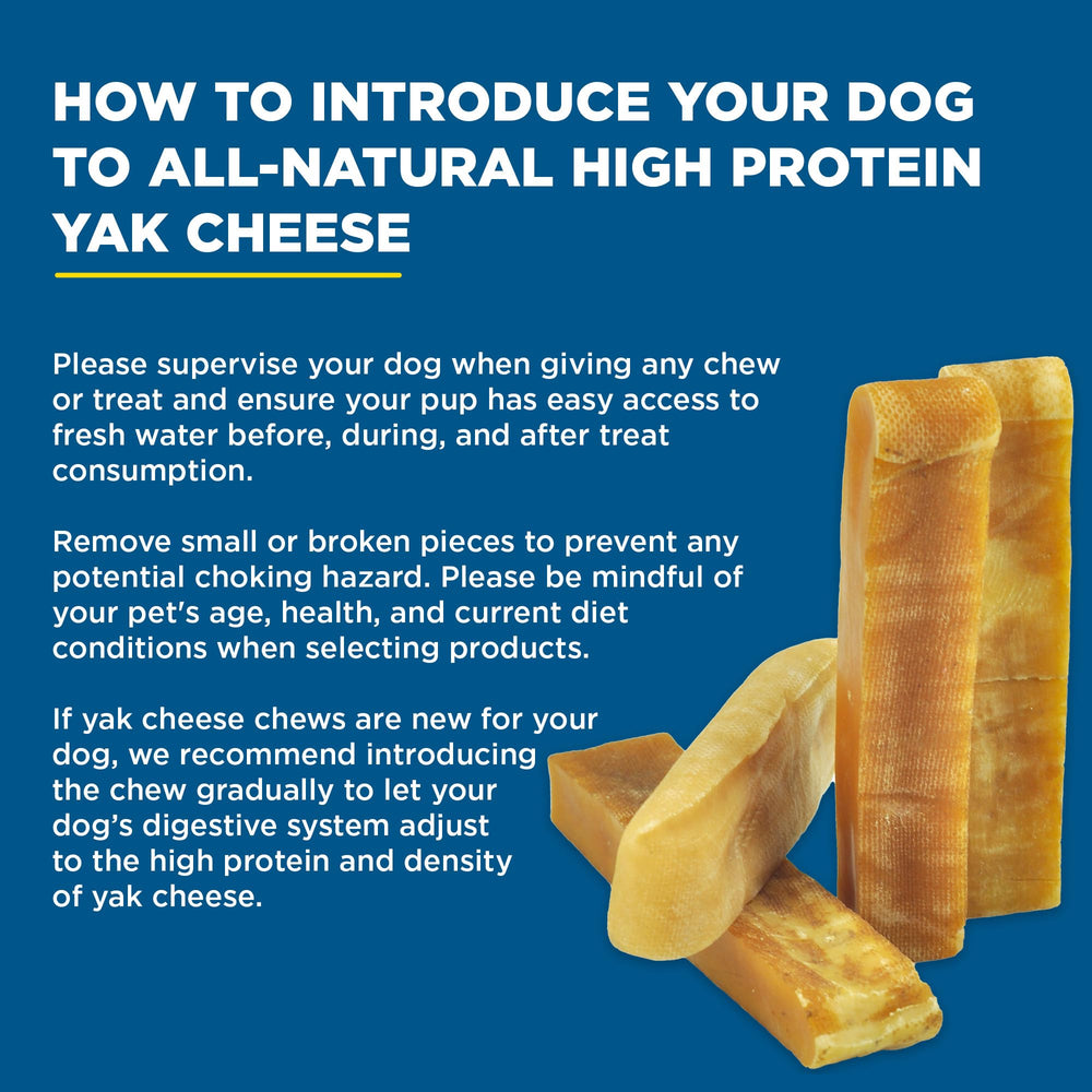 Best Bully Sticks large dog outdoors with chew demonstrating active enrichment benefit