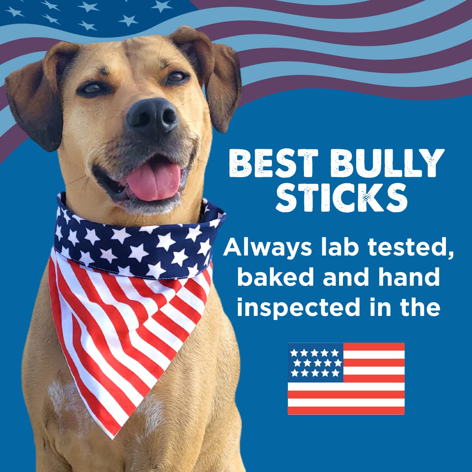 Best Bully Sticks with owner and dog outdoors showing enrichment and enjoyment