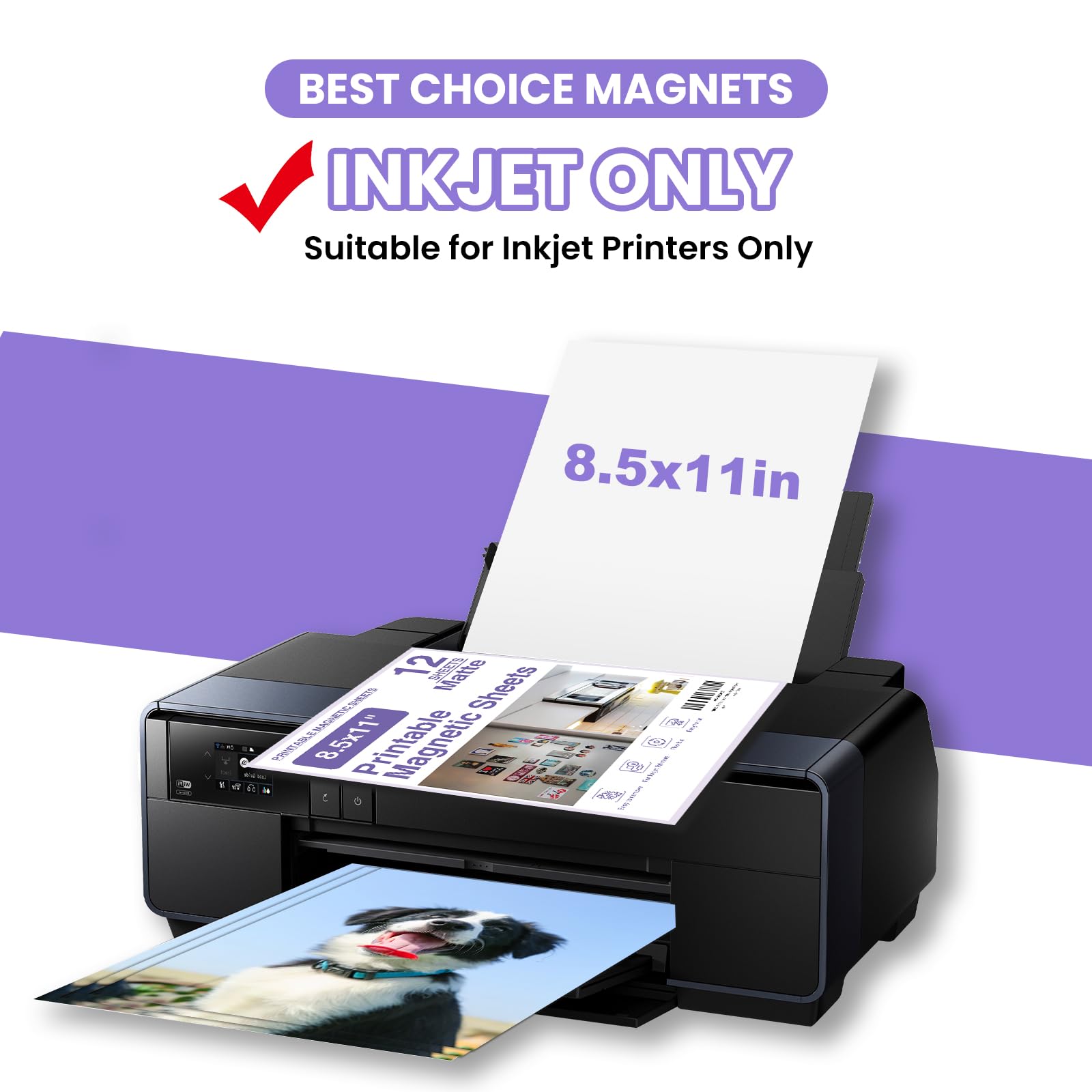 BEST CHOICE MAGNETS magnetic back detail demonstrating strong hold on metal surfaces