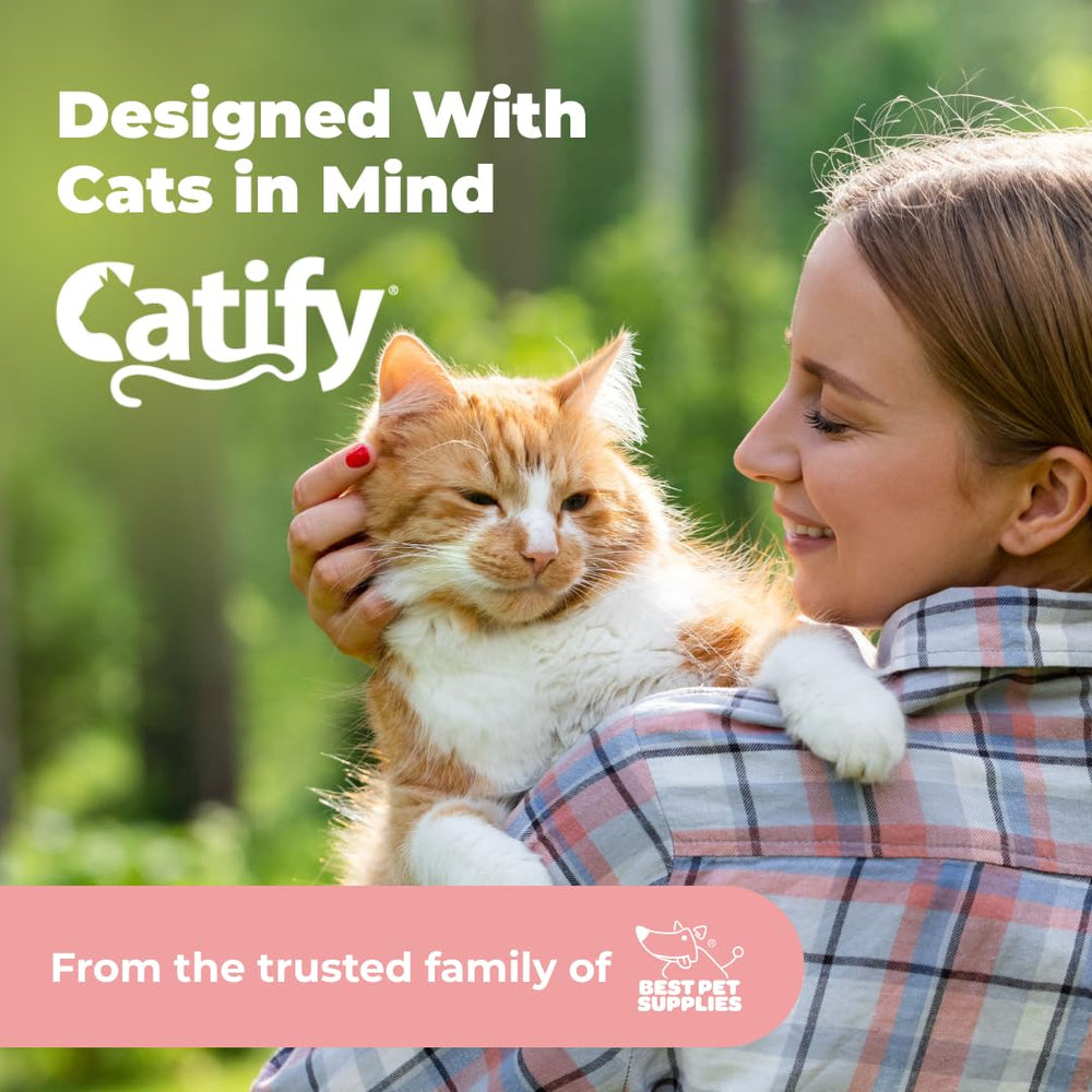 Best Pet Supplies cat using the scratch pad in a living room to protect furniture