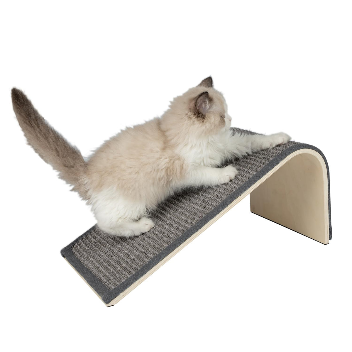 Best Pet Supplies Catify front view showing gray ramp and stable base benefit furniture protection