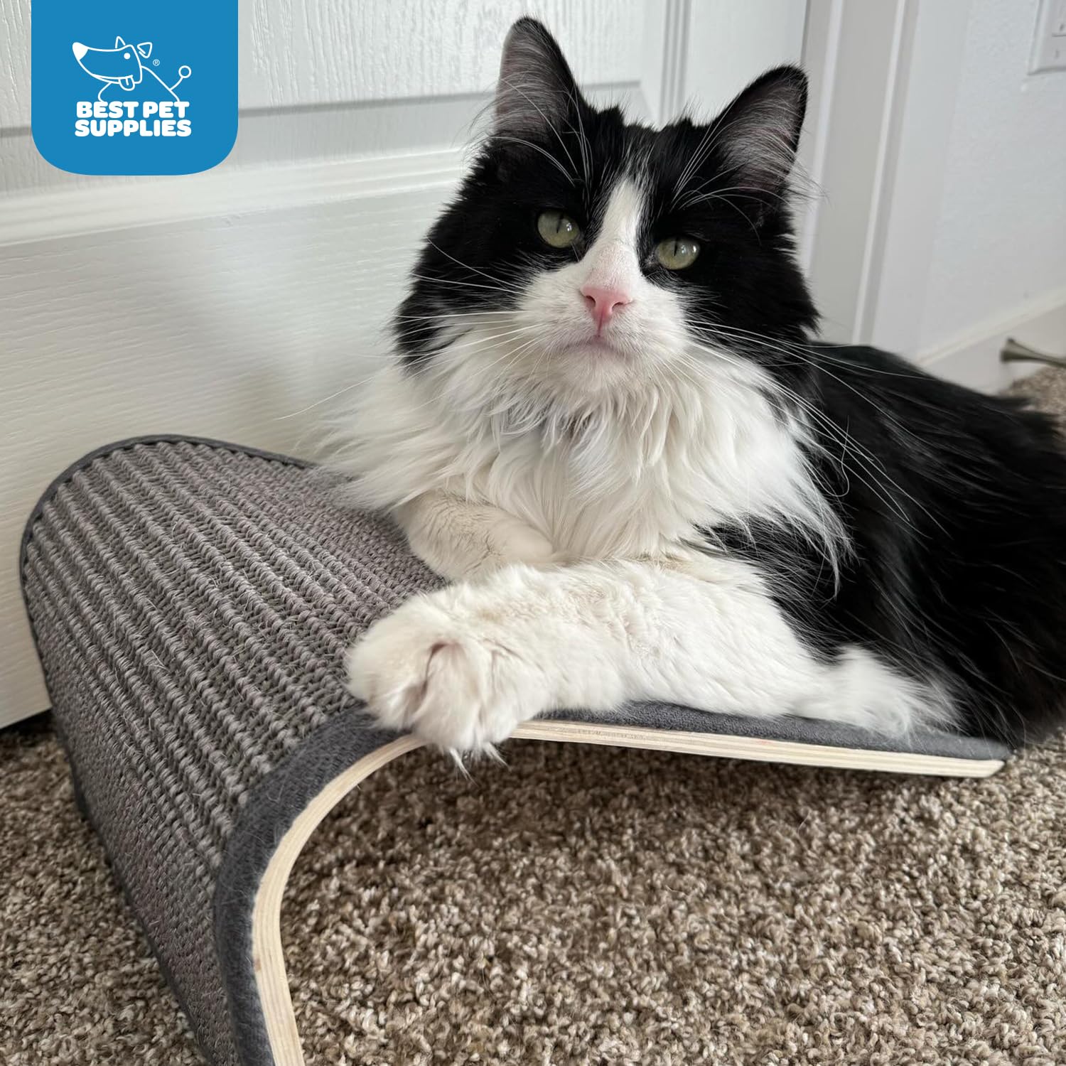 Best Pet Supplies Catify in living room setting showing integrated style and furniture protection