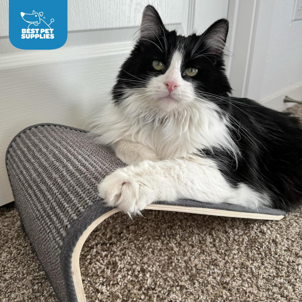 Best Pet Supplies Catify in living room setting showing integrated style and furniture protection