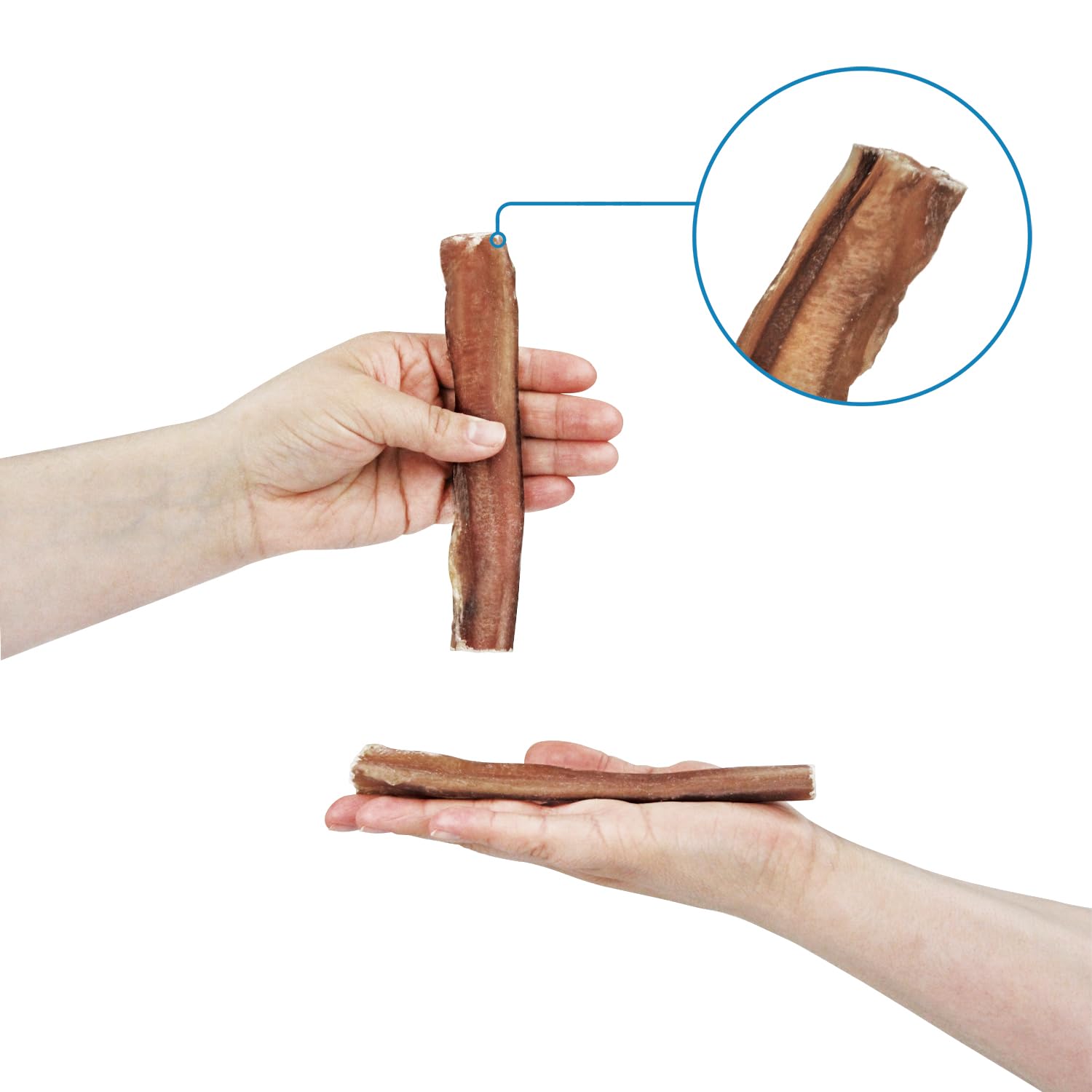 Best Pet Supplies size comparison with ruler showing six-inch length
