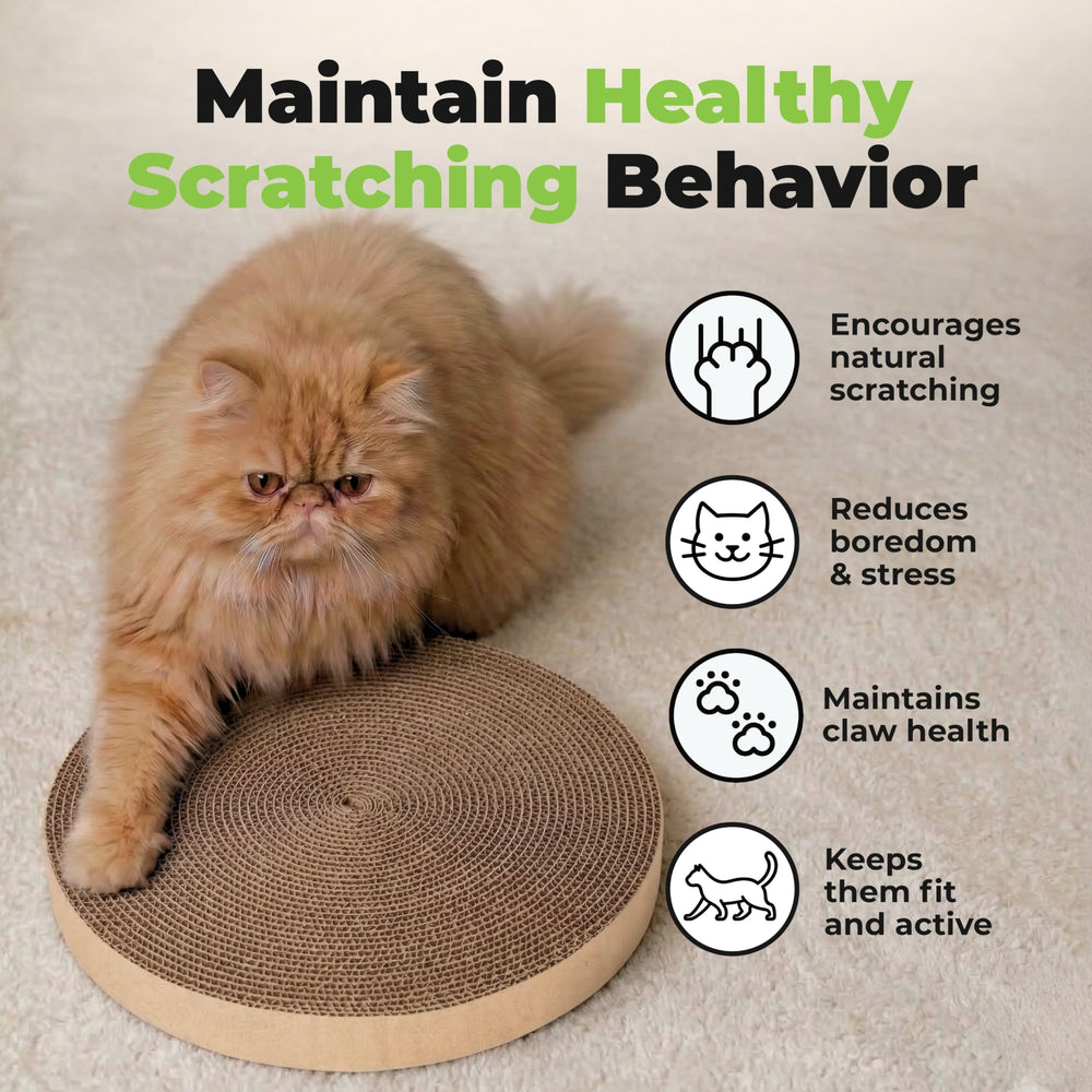 Best Pet Supplies five stacked replacement pads offering value and backups