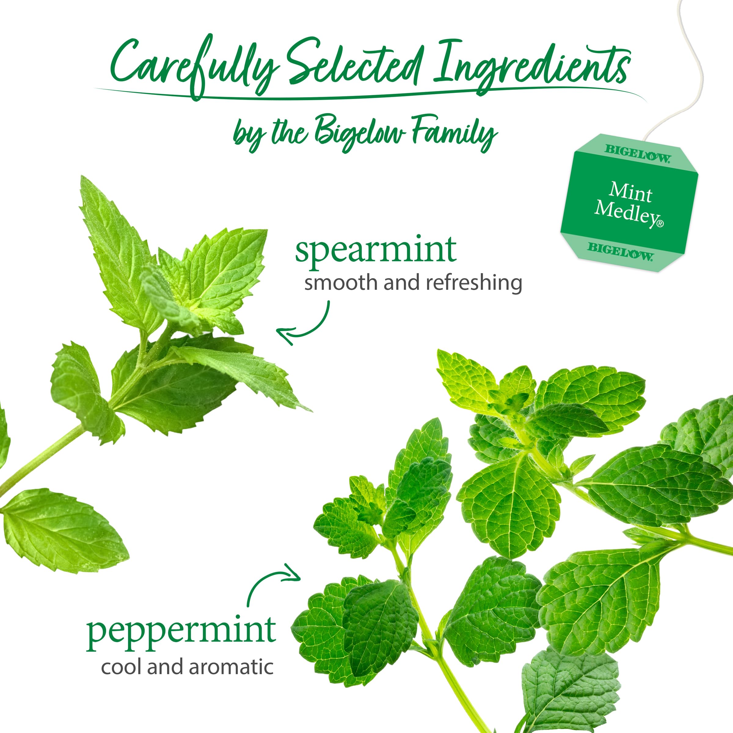 Bigelow Tea close-up spearmint leaves showing natural herbs and fresh aroma