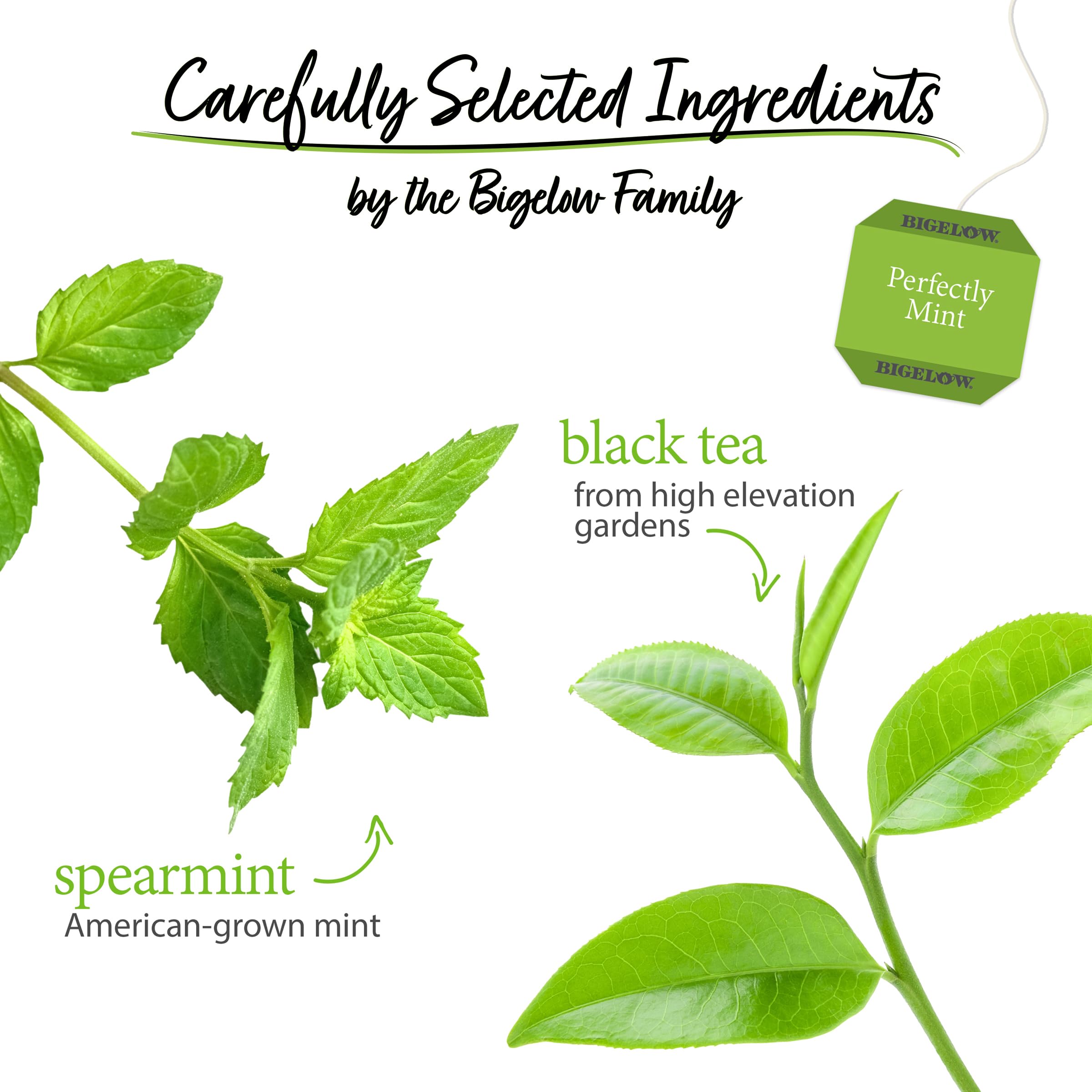 Bigelow Tea unwrapped bag on saucer highlighting fine tea and simple brewing
