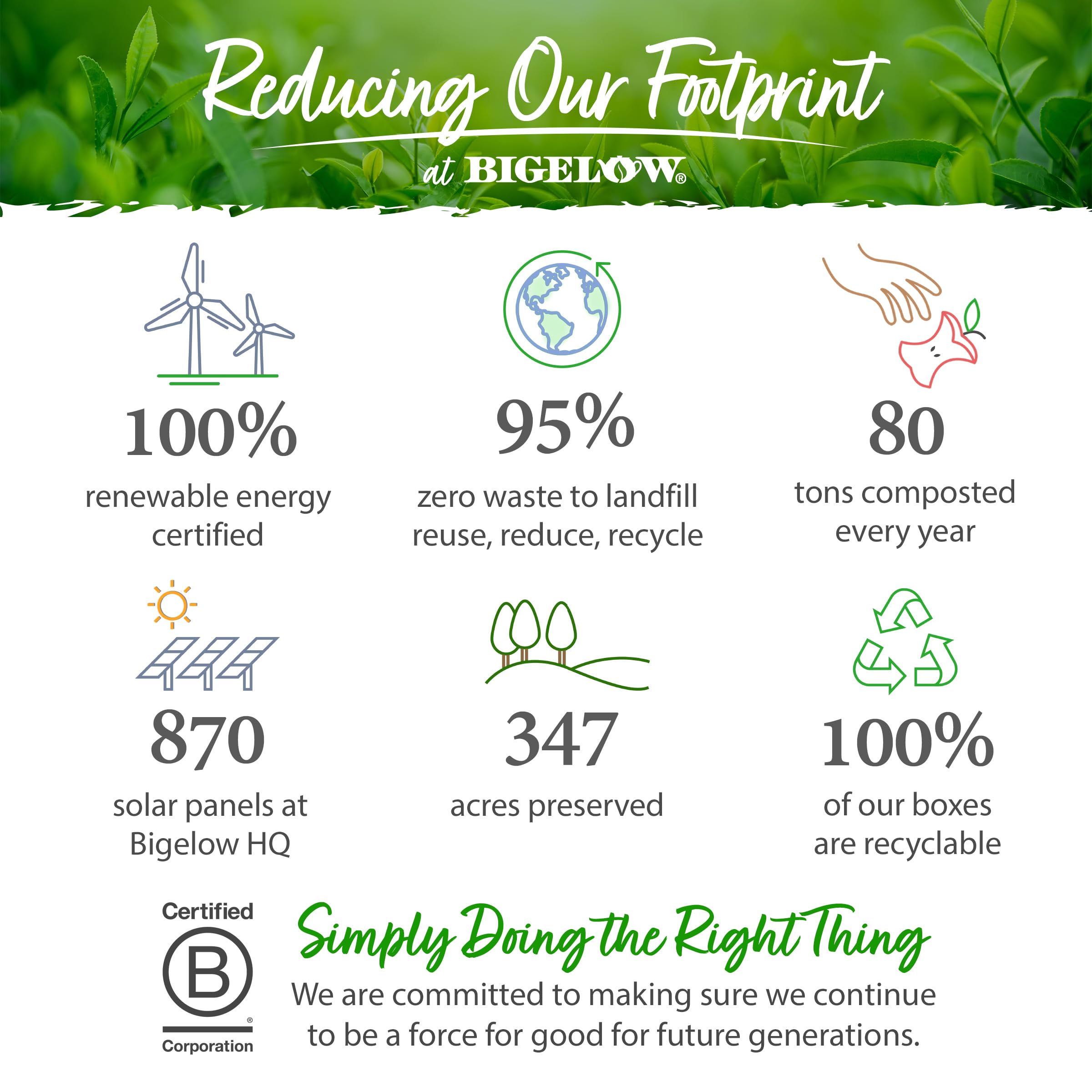 Morning kitchen scene with Bigelow Tea cup for a refreshing daily ritual