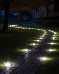 Biling close-up of 12 LEDs highlighting even cool-white illumination