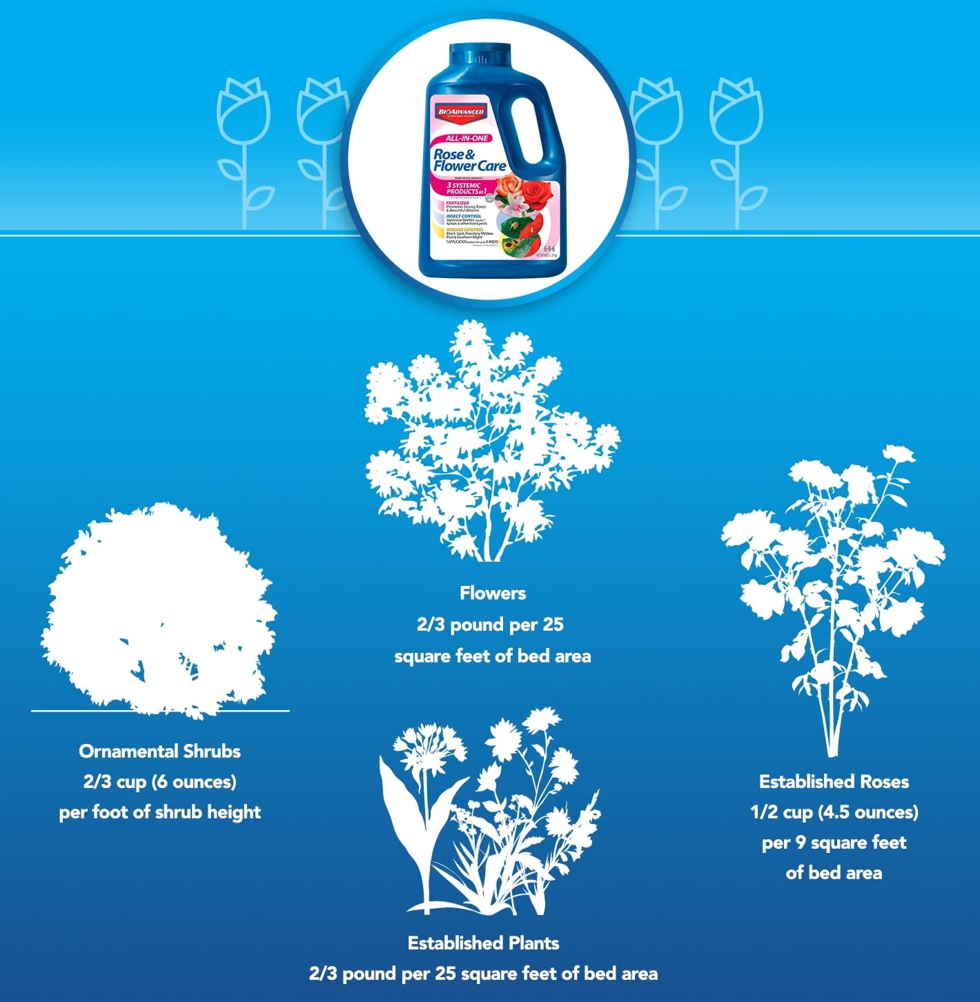 BioAdvanced-treated rose bloom showing healthier blooms and reduced pest damage